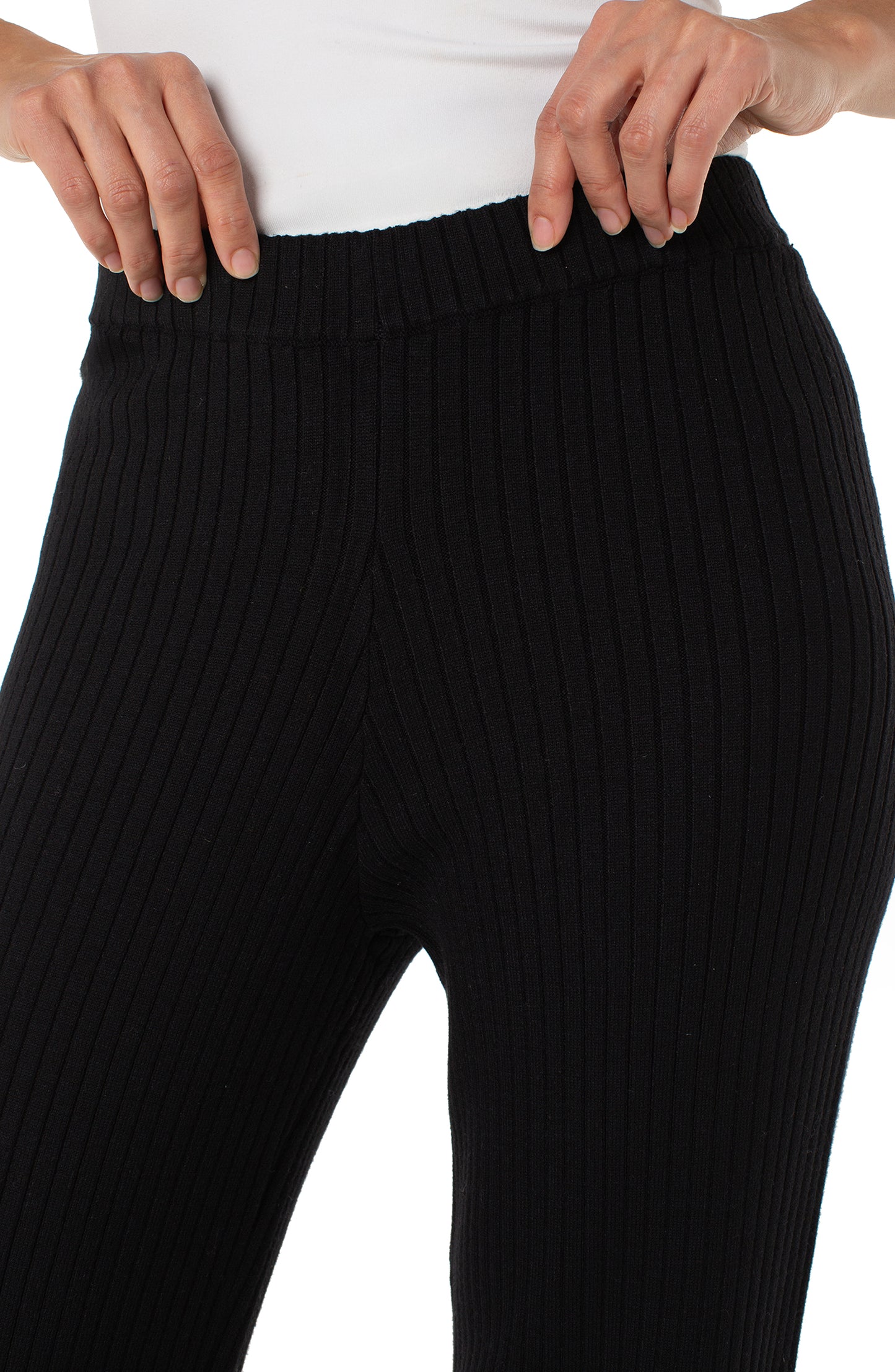 Liverpool Pull-on Wide Leg Sweater Pant (Black)