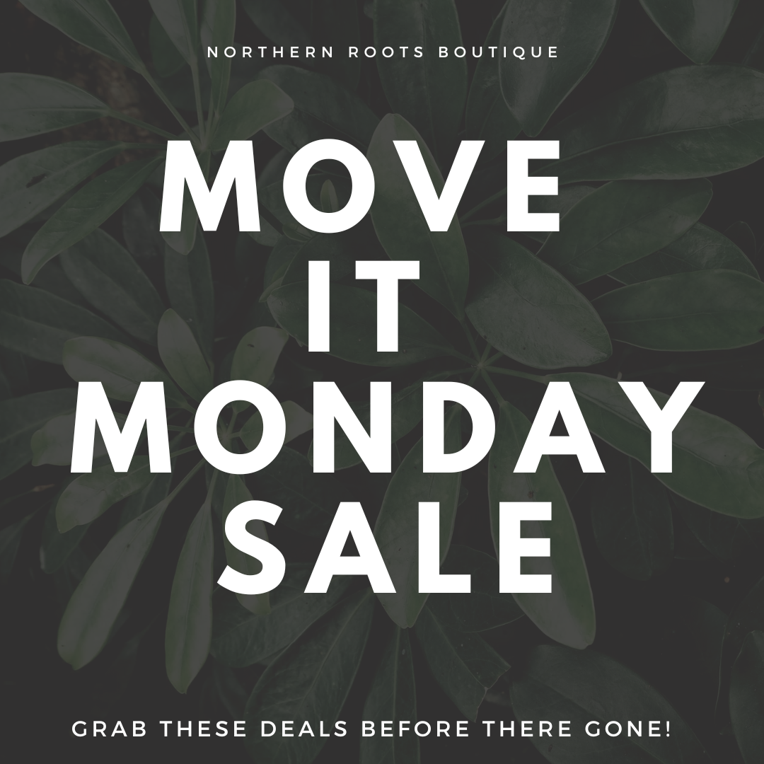 Move it Monday Items – Northern Roots Boutique