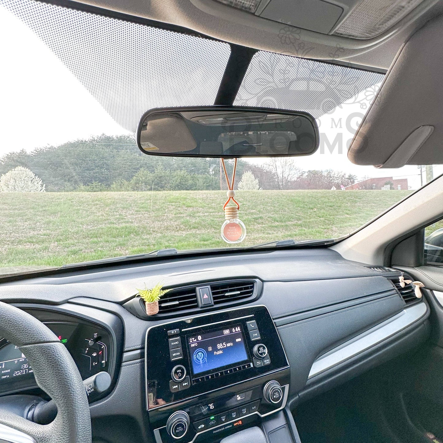 Hanging Car Air Freshener + Odor Eliminator