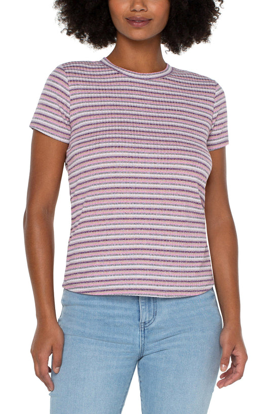 Liverpool Slim Fit Crew Neck Knit Tee (Multi Color Stripe)