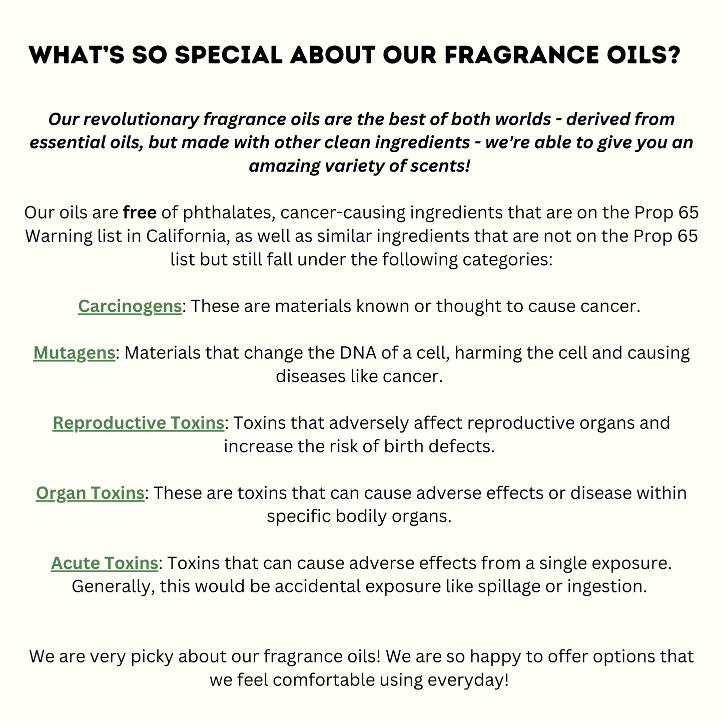 Hanging Car Air Freshener + Odor Eliminator