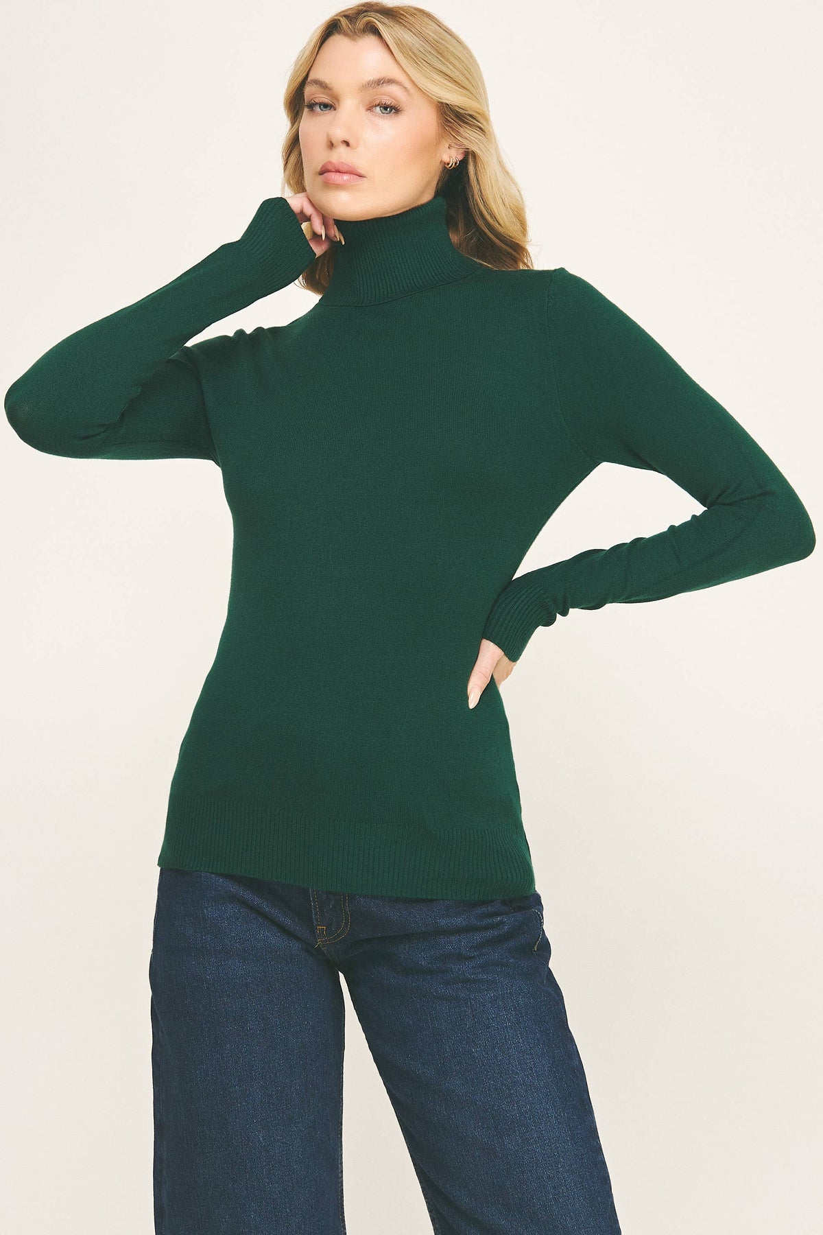 Classic Turtleneck Knit Sweater (variety of colors)