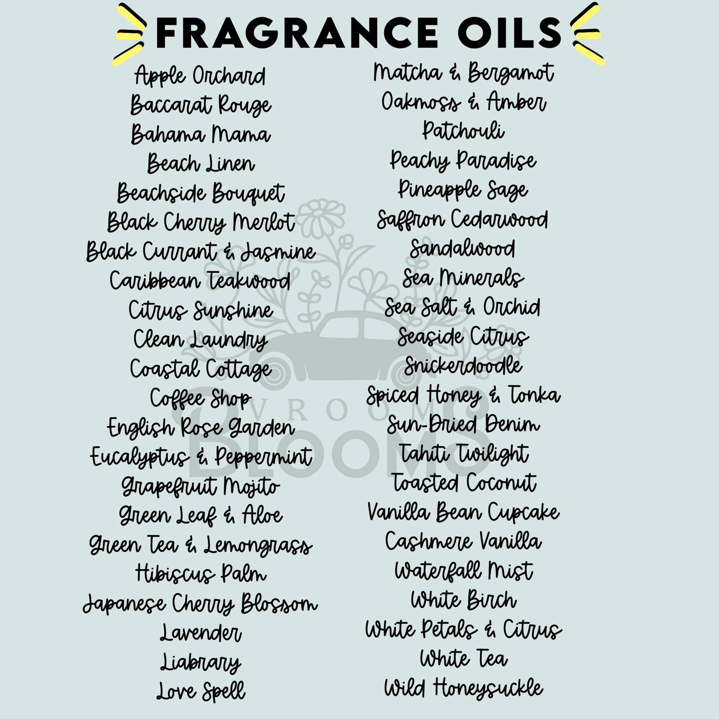 Hanging Car Air Freshener + Odor Eliminator