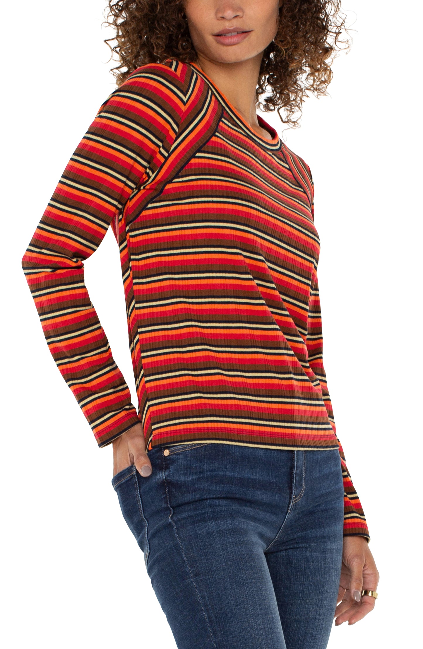 Liverpool Long Sleeve Crew Neck Knit Top w/ Mitering (Burnt Orange Multistripe)