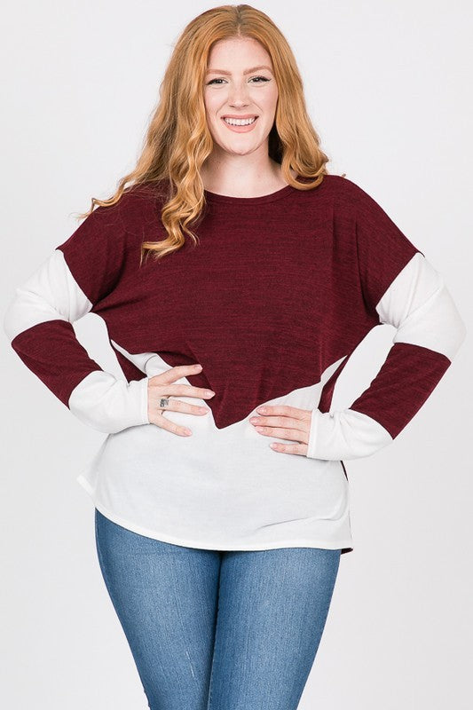 Plus Size Color Block Knit Top